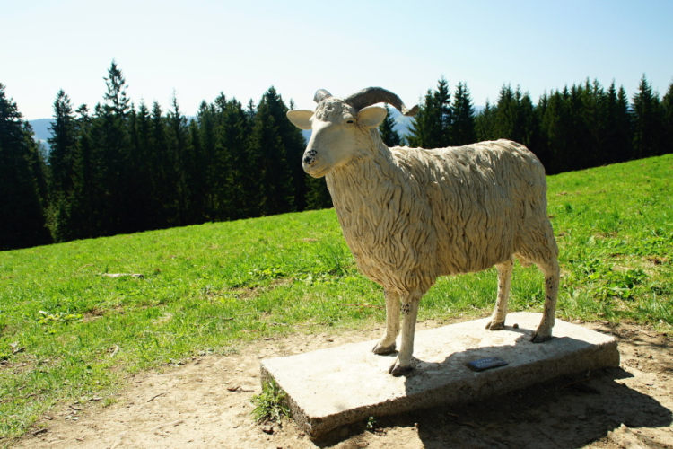 Pomník valašské ovci